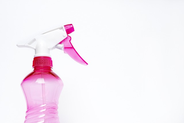 Domestic Cleaning